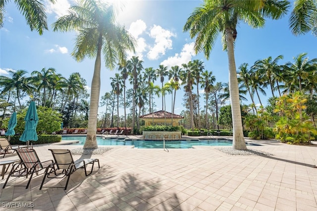 view of swimming pool with a patio area