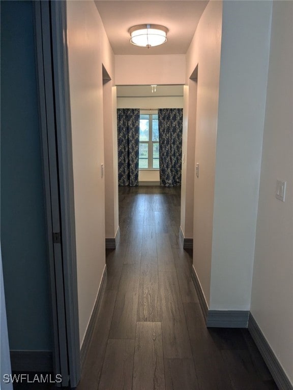 hall with dark hardwood / wood-style flooring