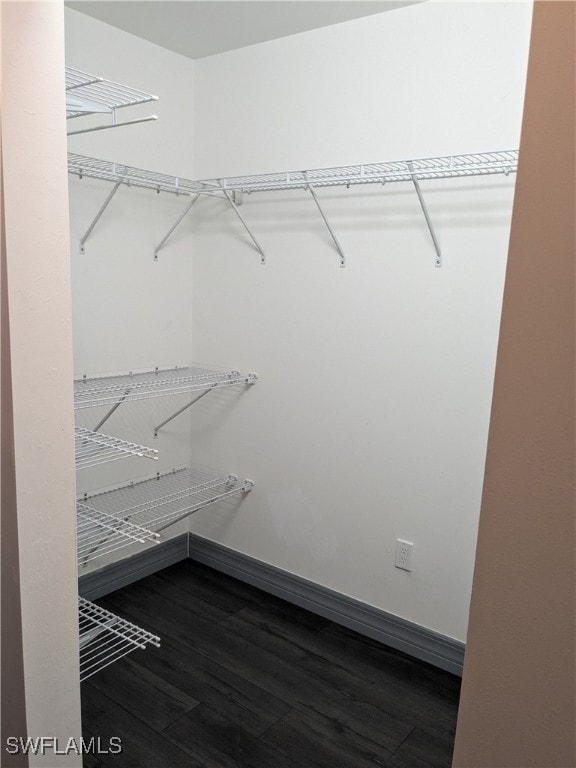 spacious closet with dark wood-type flooring