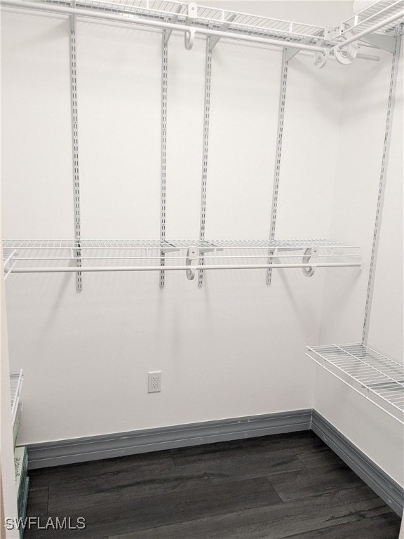 spacious closet featuring dark hardwood / wood-style flooring