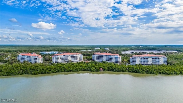 drone / aerial view with a water view