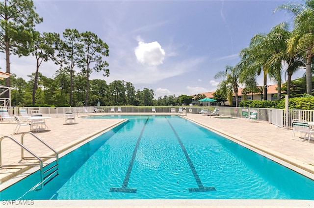 view of pool featuring a patio