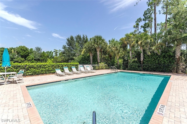 view of pool featuring a patio