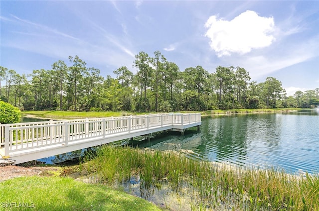 dock area with a water view