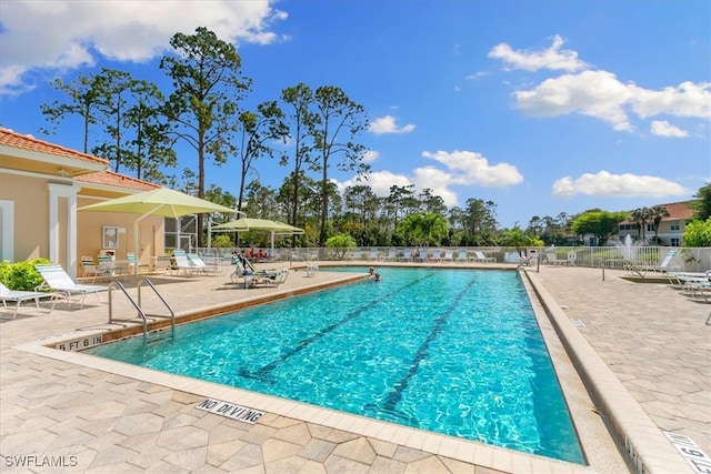 view of swimming pool with a patio area