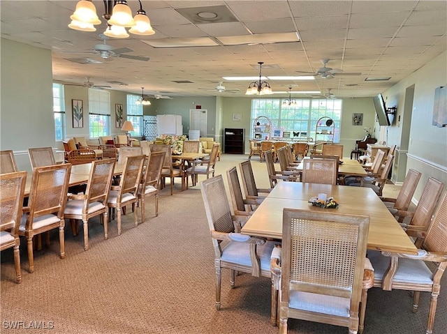 dining area featuring ceiling fan with notable chandelier, carpet floors, a drop ceiling, and a healthy amount of sunlight