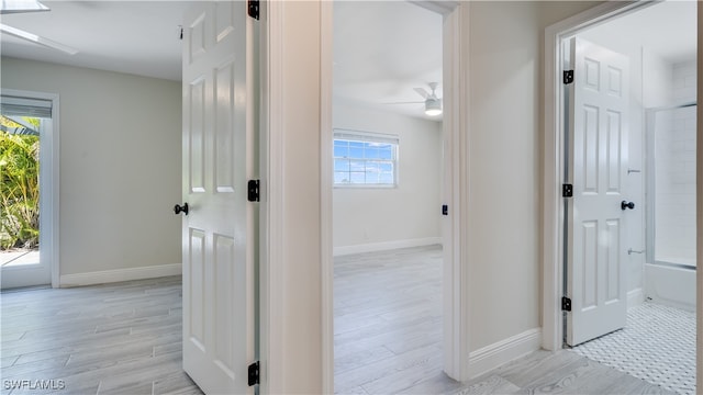 hallway featuring plenty of natural light and light hardwood / wood-style flooring