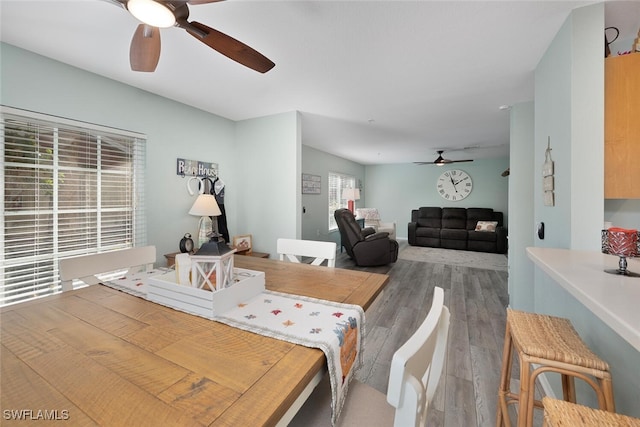 dining space featuring hardwood / wood-style floors