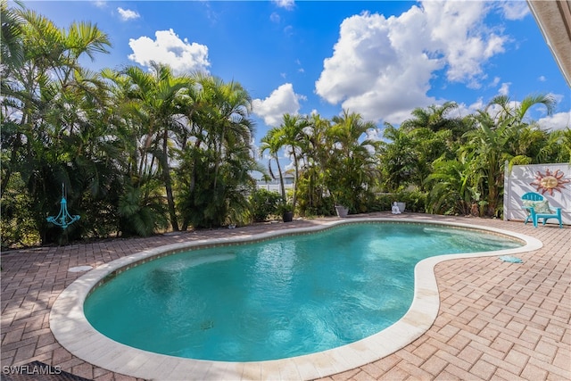 view of pool featuring a patio area