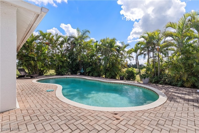 view of swimming pool with a patio area