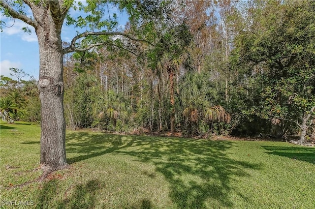 22890 Forest Ridge Dr, Estero, FL 33928 - view of grassy yard