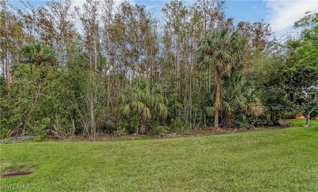 22890 Forest Ridge Dr, Estero, FL 33928 - view of green lawn