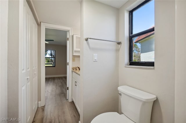 bathroom featuring vanity, toilet, and wood-type flooring