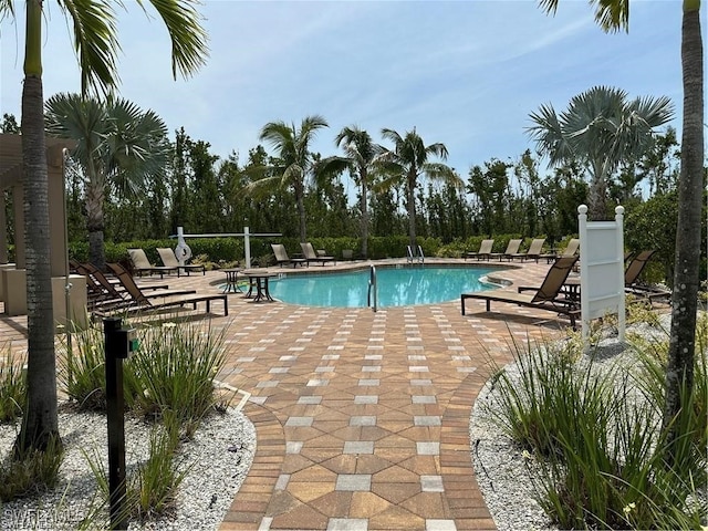 view of pool featuring a patio area