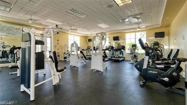 exercise room with ceiling fan and a drop ceiling