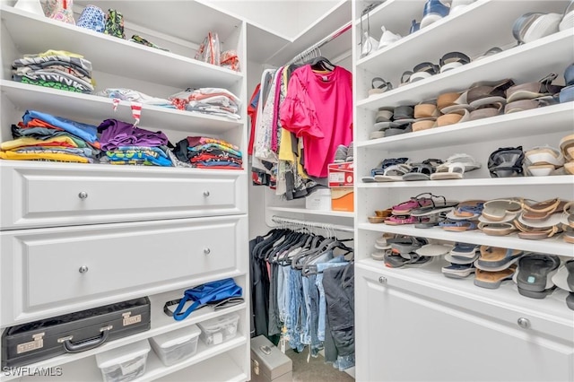 view of spacious closet