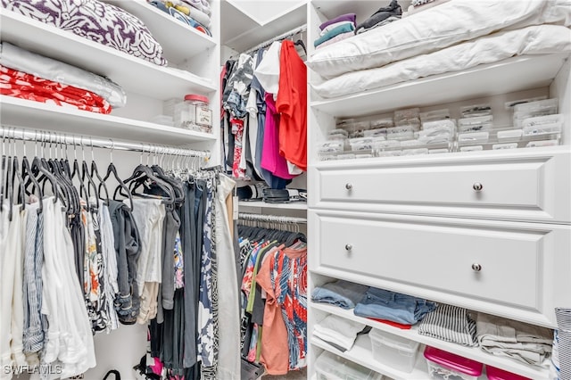 view of walk in closet