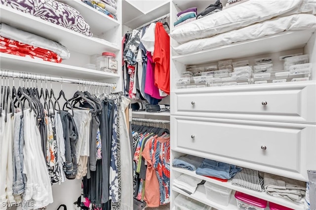 view of spacious closet