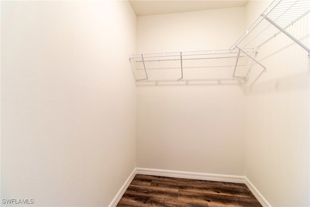 walk in closet with dark hardwood / wood-style floors