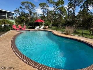 view of pool featuring a patio