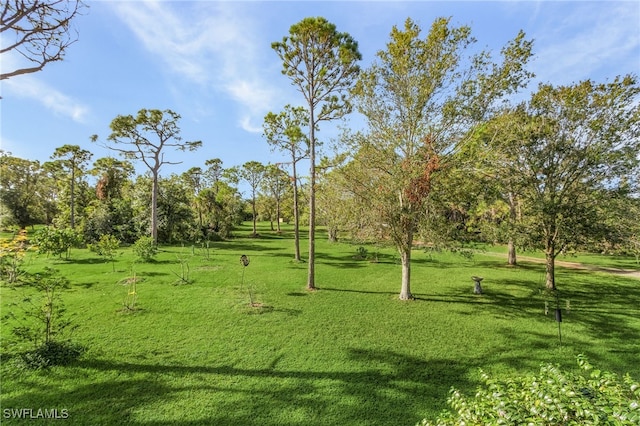 surrounding community featuring a yard