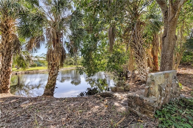 view of water feature