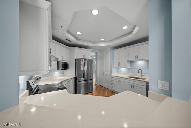 kitchen featuring white cabinets, a raised ceiling, sink, and appliances with stainless steel finishes