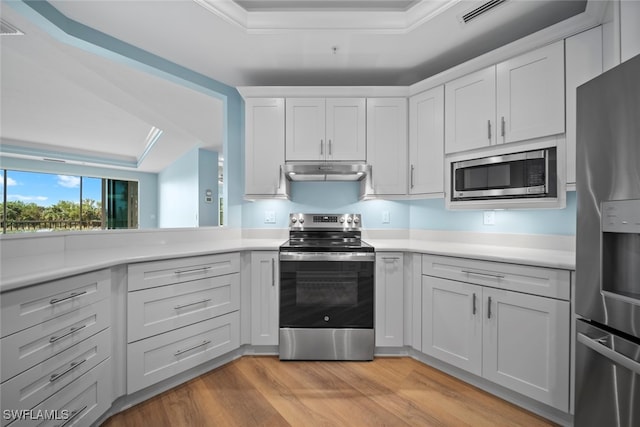 kitchen with white cabinets, stainless steel appliances, and a raised ceiling