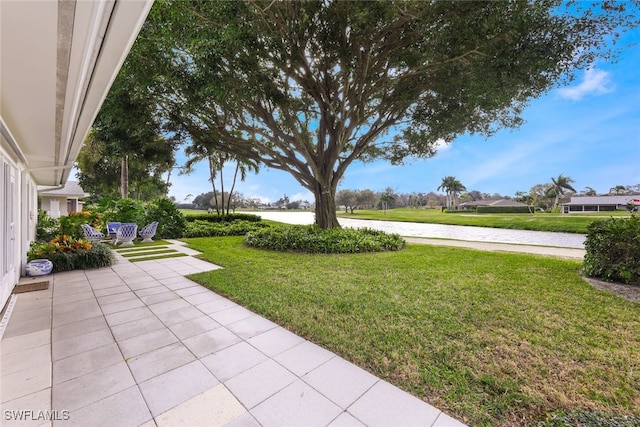 view of yard featuring a patio