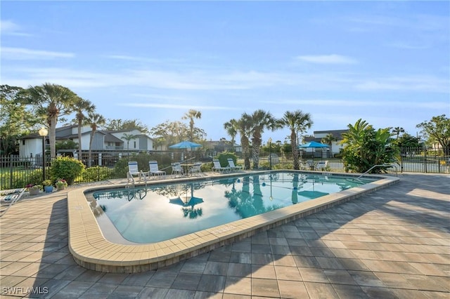 view of pool featuring a patio