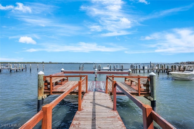 dock area with a water view