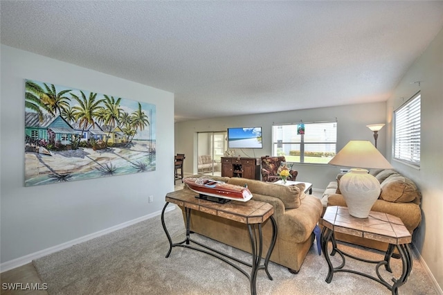 carpeted living room with a textured ceiling