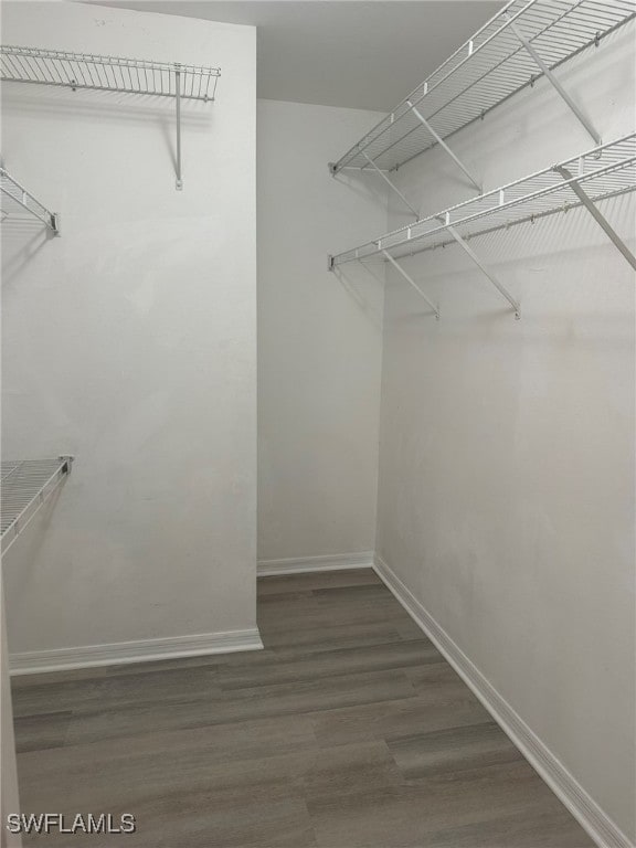 spacious closet with dark wood-type flooring