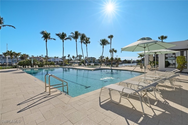 view of swimming pool with a patio