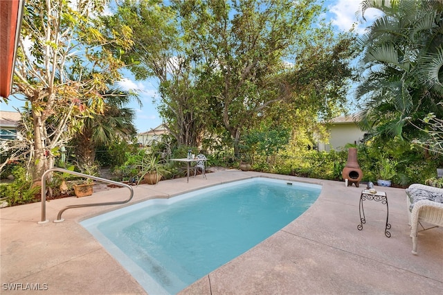 view of swimming pool with a patio area