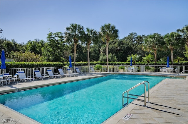 view of pool with a patio area