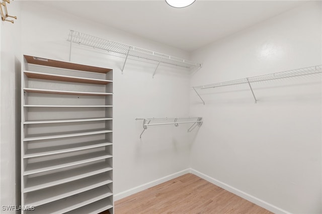 walk in closet featuring wood-type flooring