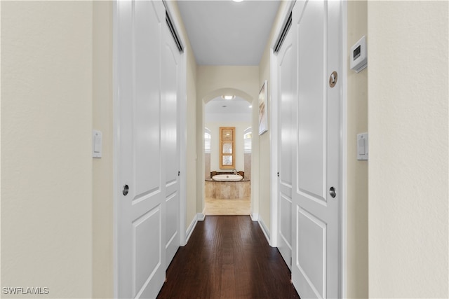 hallway featuring dark hardwood / wood-style flooring