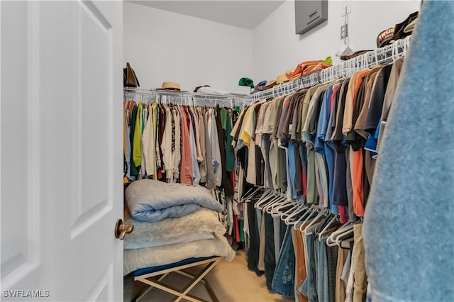 spacious closet featuring carpet