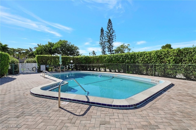 view of swimming pool with a patio area