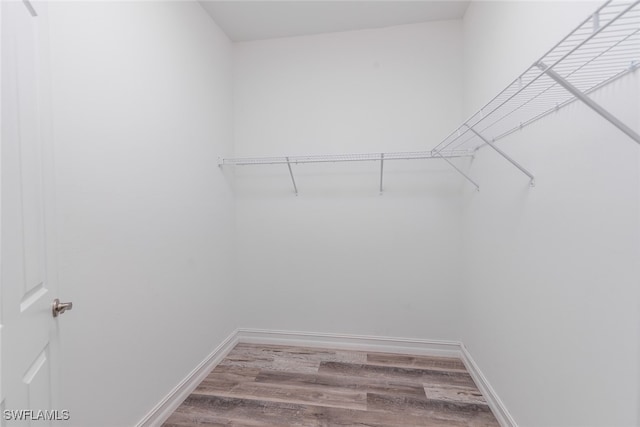 walk in closet with hardwood / wood-style floors