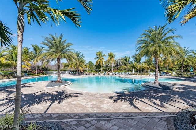 view of swimming pool