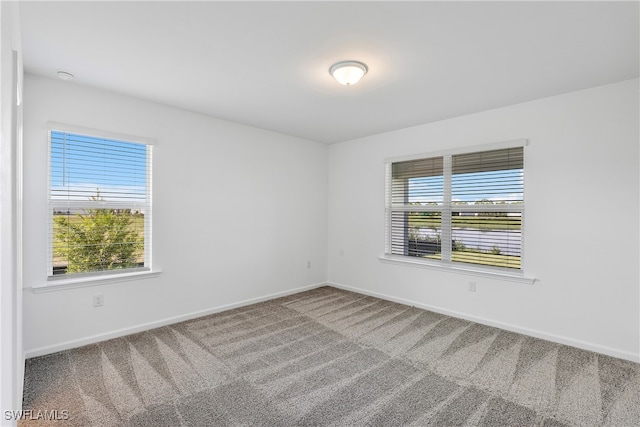 empty room with carpet and plenty of natural light