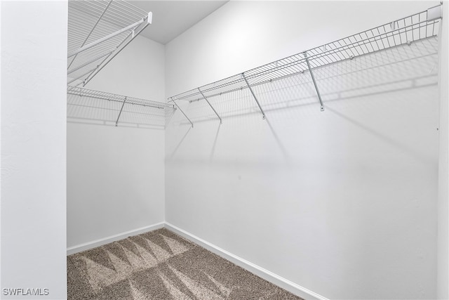 spacious closet with carpet