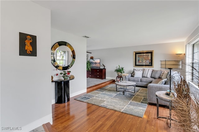 living room with hardwood / wood-style floors