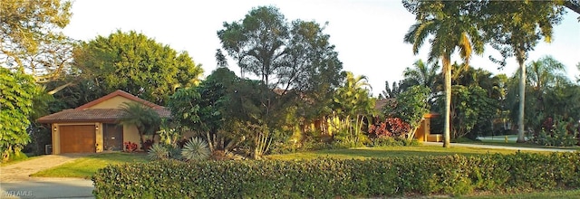 surrounding community featuring a yard