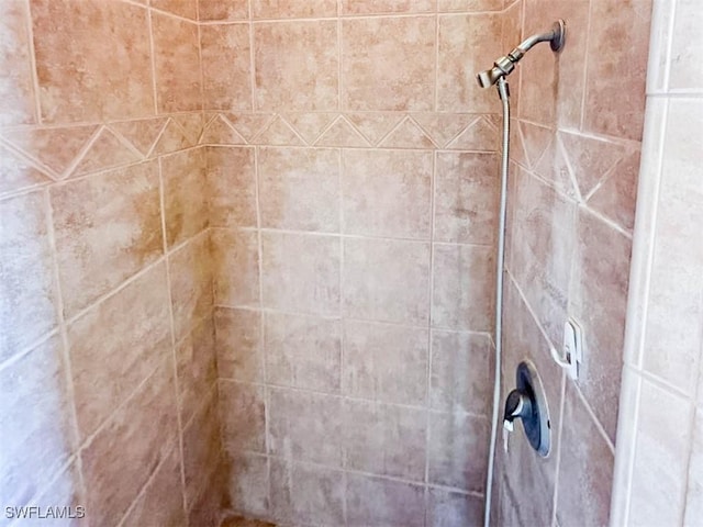 bathroom view of tiled shower