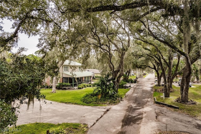 view of community featuring a lawn