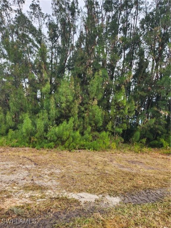 338 Tyrone Ave, Lehigh Acres FL, 33972 land for sale