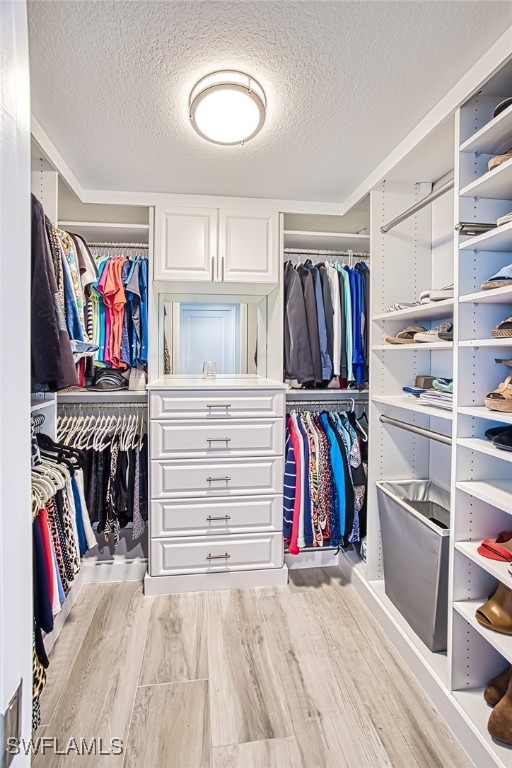 spacious closet featuring light hardwood / wood-style floors